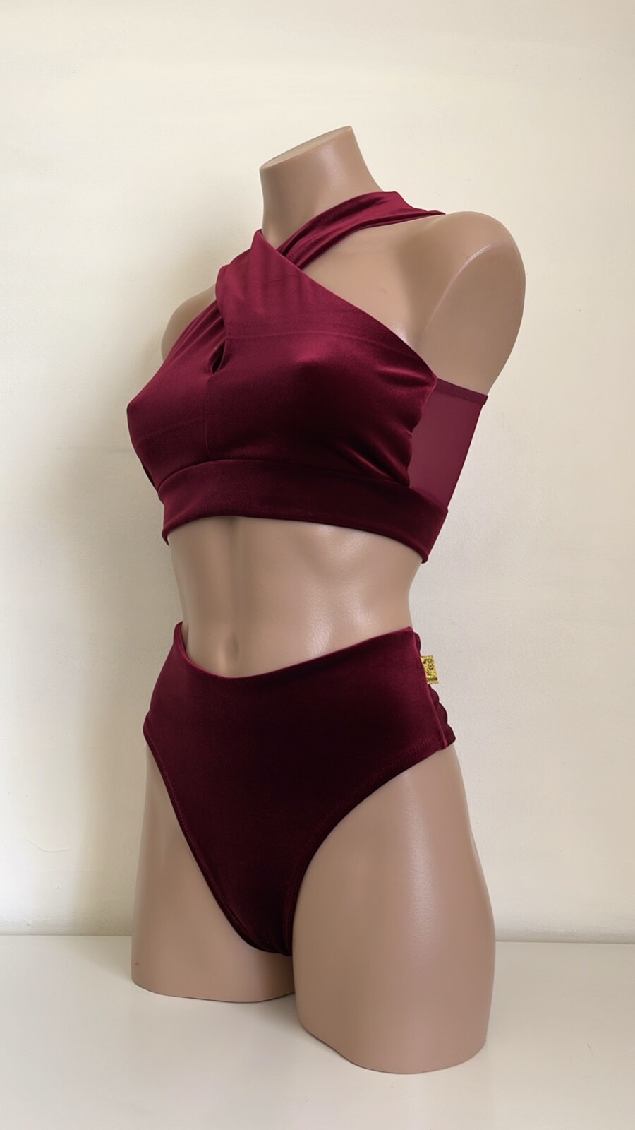 Schminke 🎩 Velvet & mesh Pole wear dance set ethereal top thong bottoms