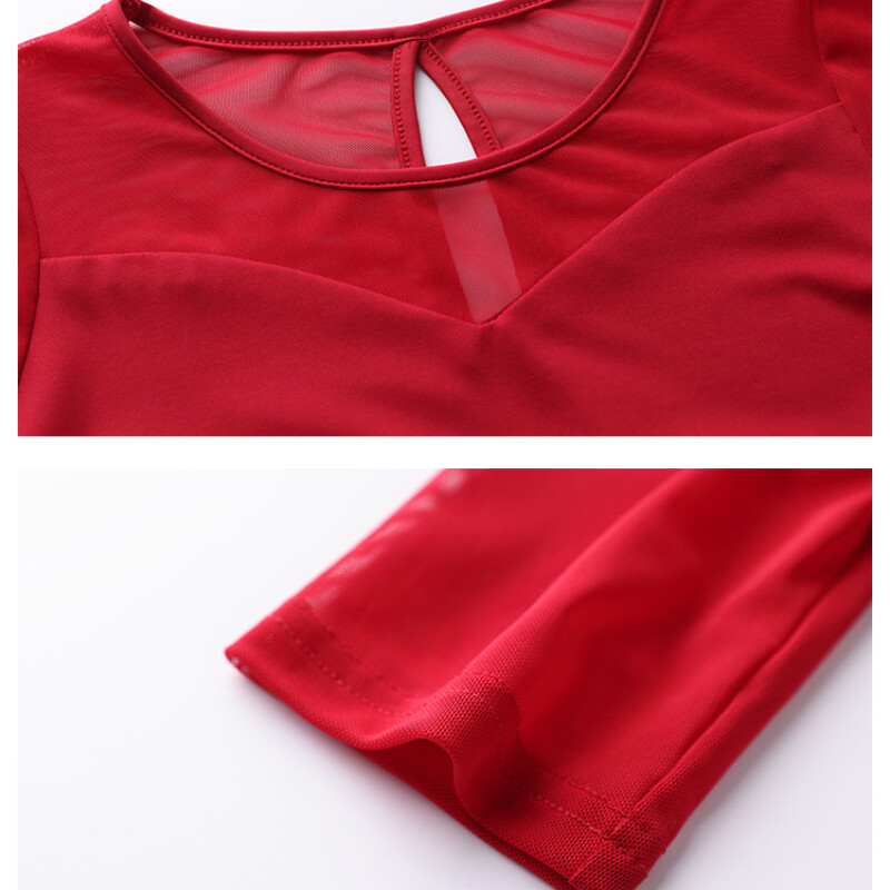 Women Tassel Dancewear Mesh Latin Dance Dress Ballroom Short Sleeve Tango