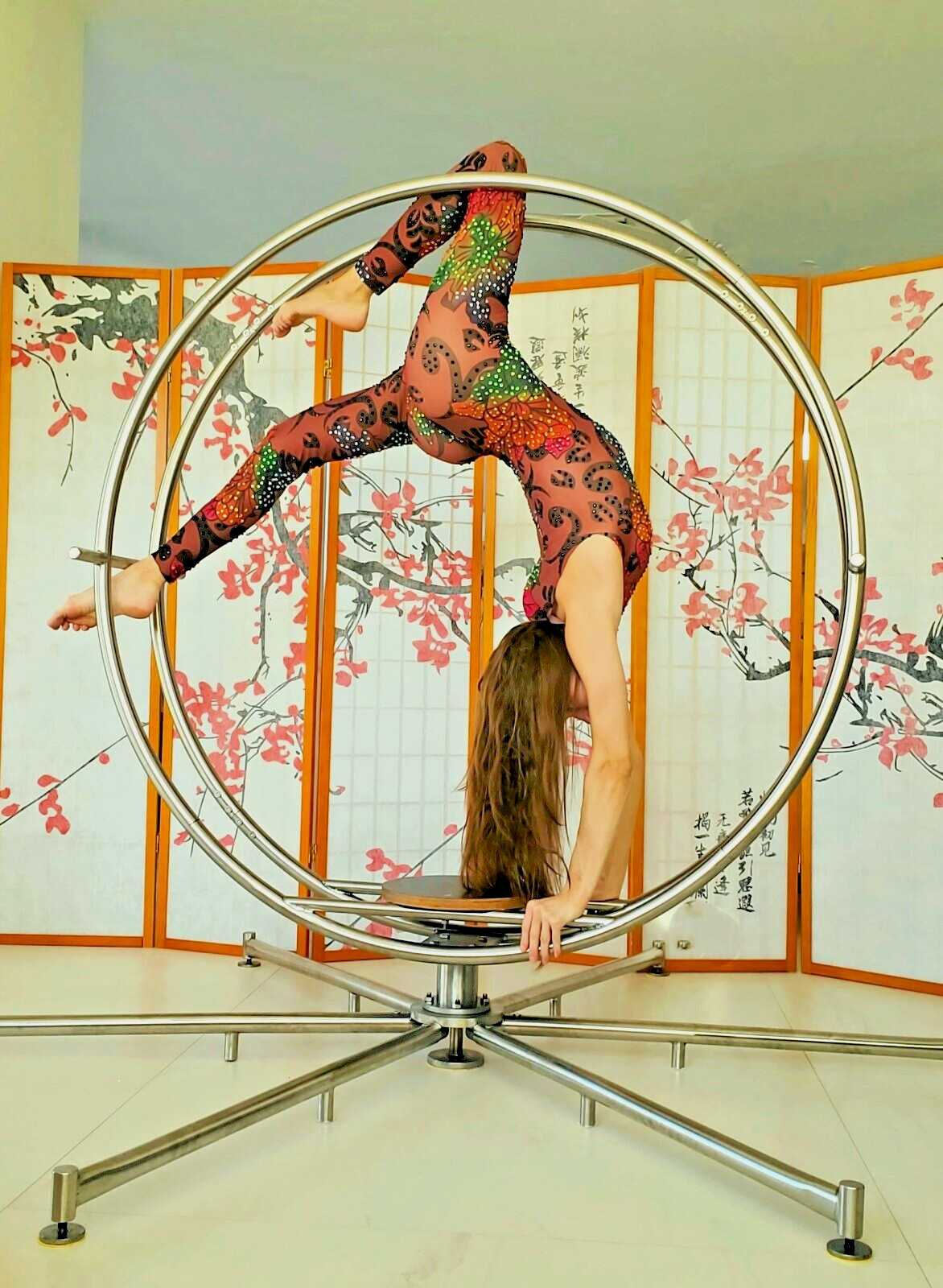 Aerial Silk/Lyra Leotard S/M Costume Performance Dance Circus Catsuit Contortion