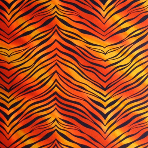 ADULT LEOTARD FOR GYM OR DANCE, BOLD & BRIGHT ZEBRA PRINTS,12 Colors