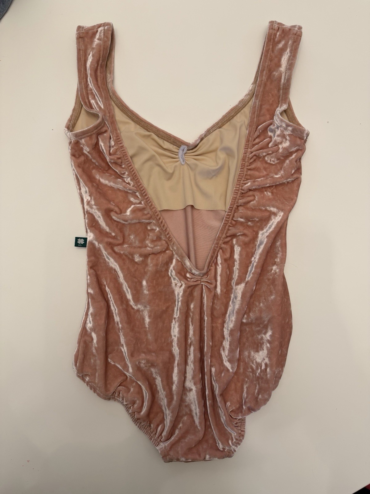 Lucky Leo Leotard Dance Ballet Pink Size Large Velour