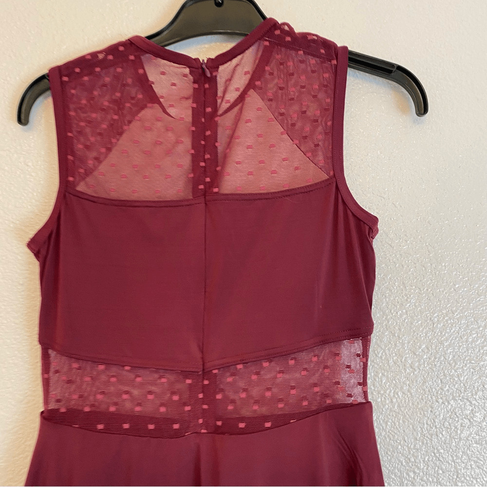 Weissman Balera Dance costume burgundy red Point D’Esprit Day Dress D11099 SA