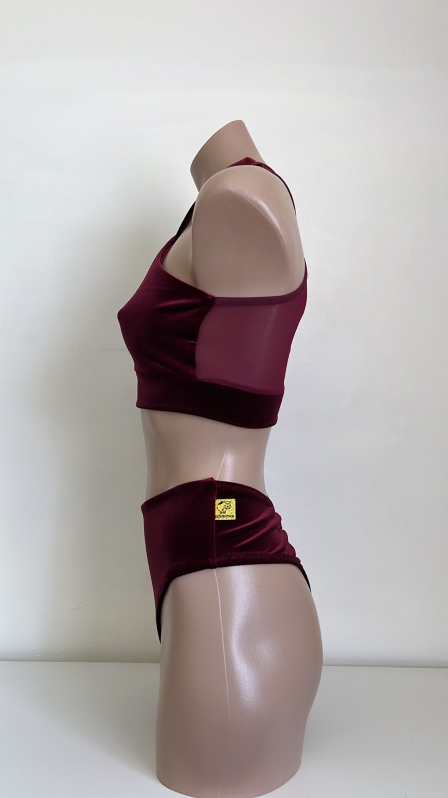 Schminke 🎩 Velvet & mesh Pole wear dance set ethereal top thong bottoms