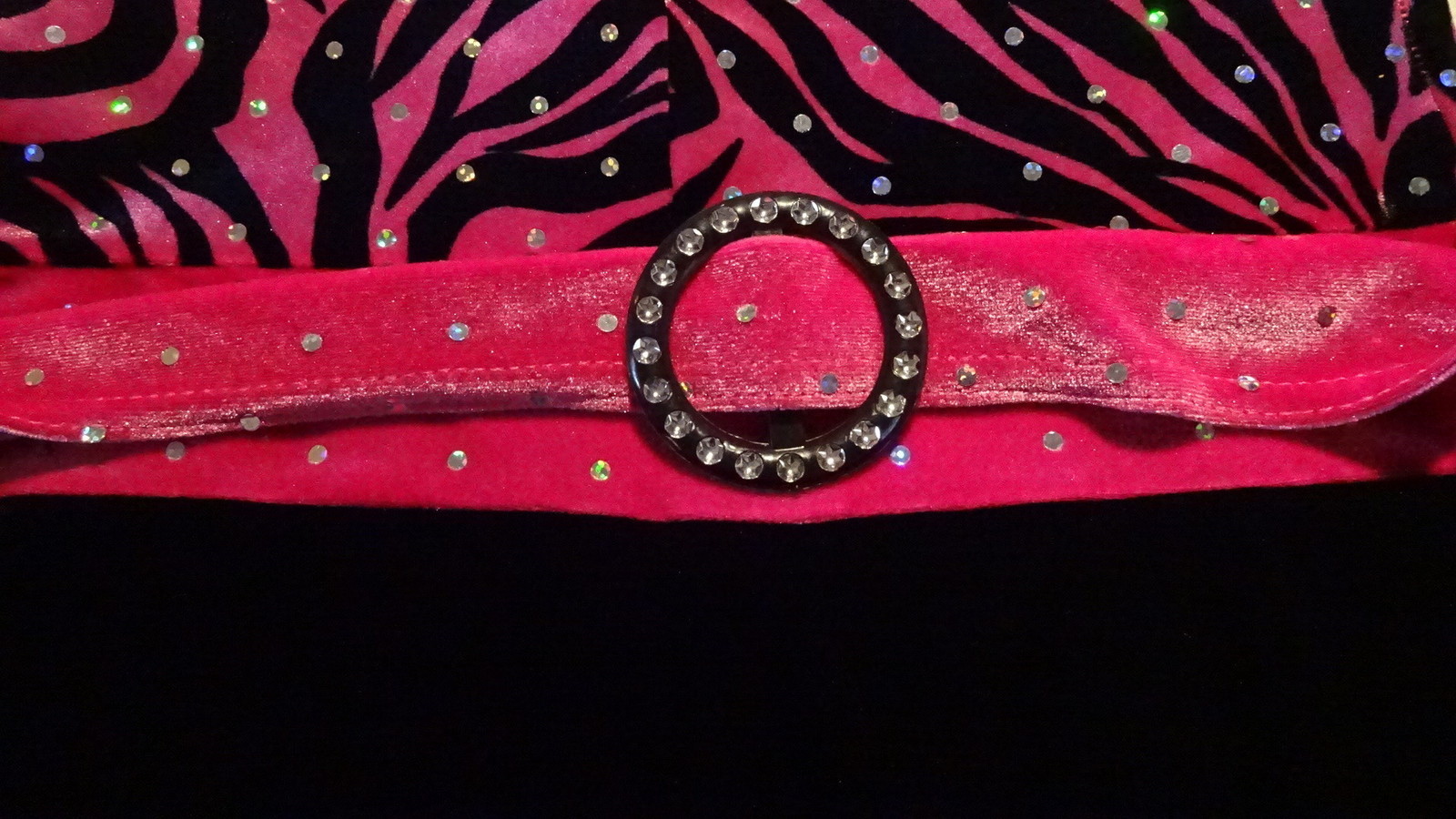 DANCE COSTUME Hot Pink & Black Leopard Print Rhinestones Adult Sz 12 – 14
