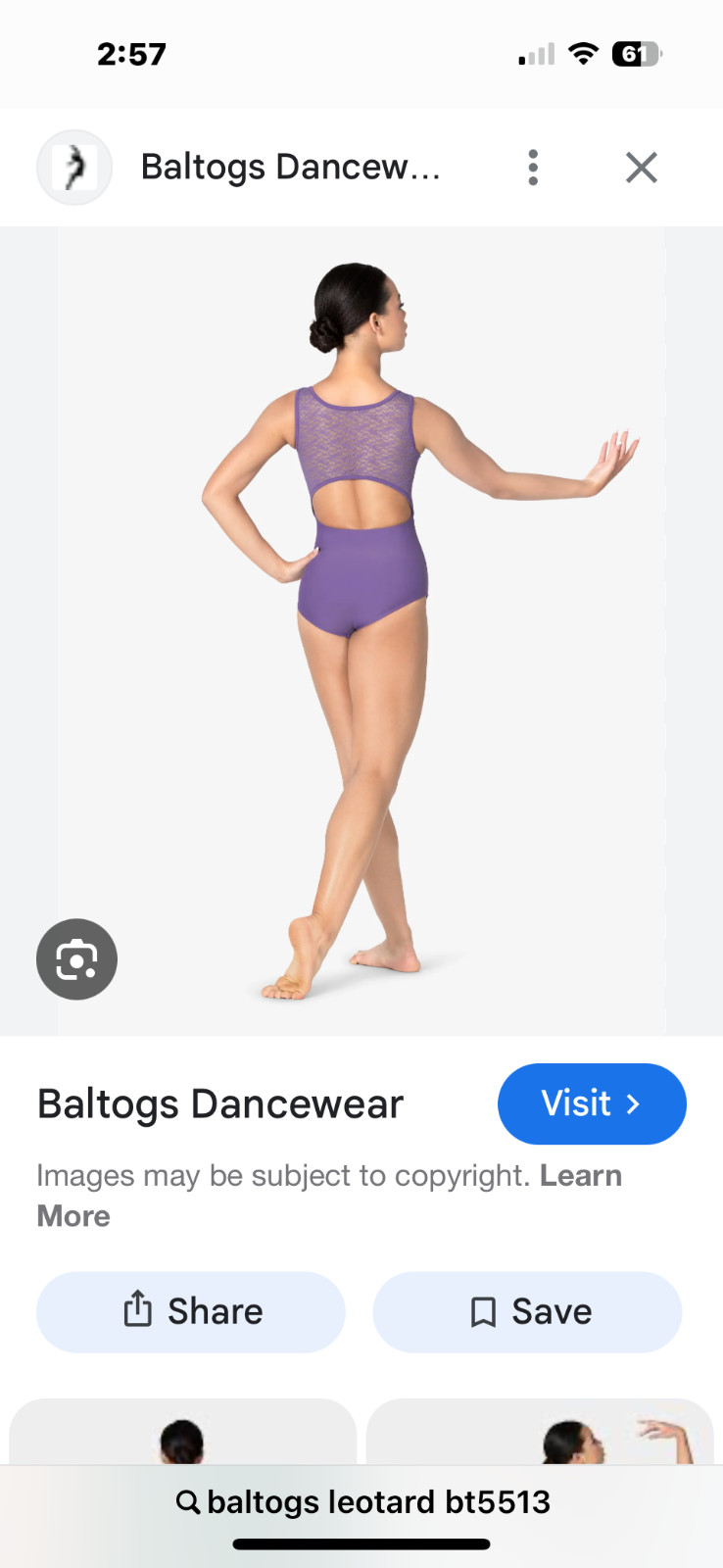 Baltogs Leotard Violet, size Large, style 5513